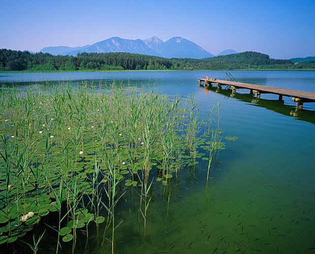 Golfplatz & Turnersee