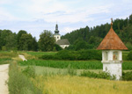 Kinderfreundliches Reiten