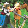 Kinderfreundliches Reiten